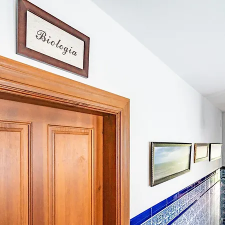 Apartment Escuela De Fuentes Fuentes (Castilla-La Mancha)